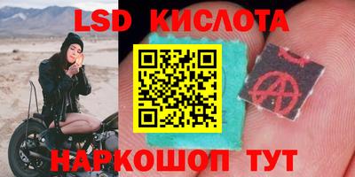ALPHA PVP Гатчина