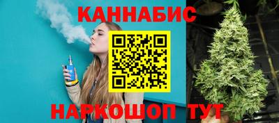 ALPHA PVP Гатчина